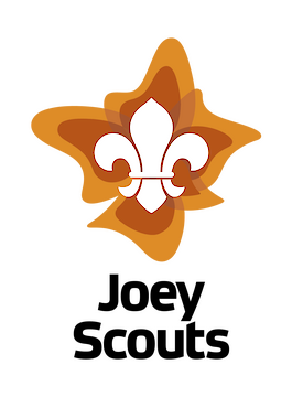 images-20.png
